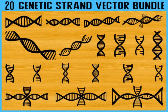 20 Genetic Strand DNA Vector Bundle