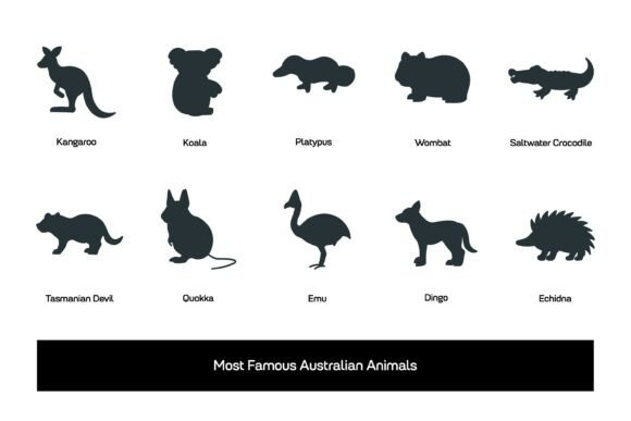 Australian Animal Silhouettes - Vector